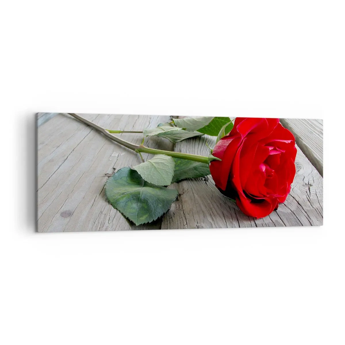 Lærredstryk - Billede på lærred - Studie i skarlagenrødt - 140x50 cm