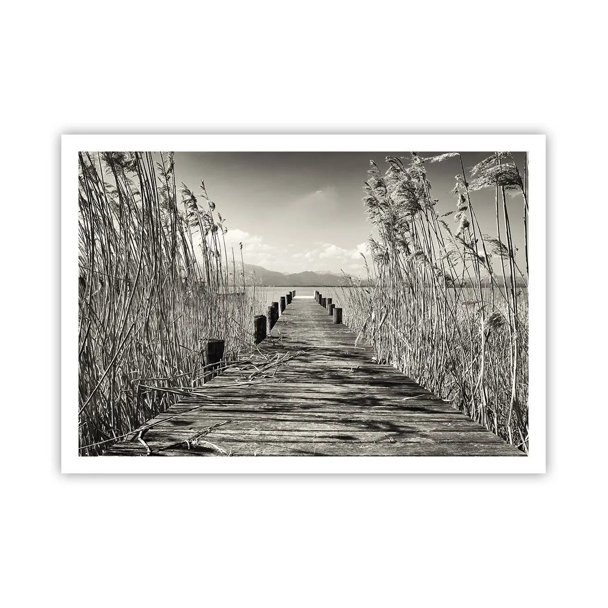 Plakat - I græssernes fred - 100x70 cm