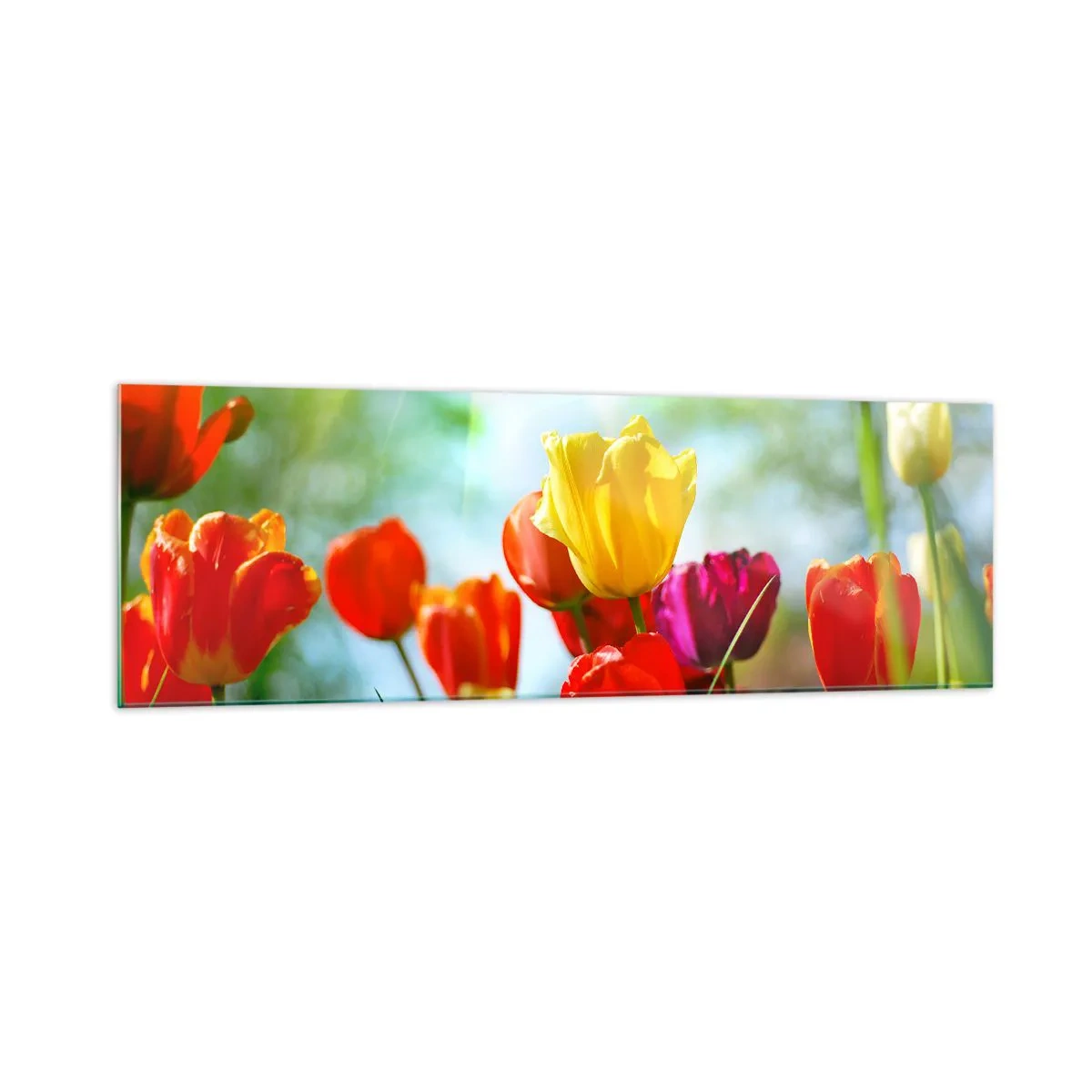 Billede på glas - Alle solens farver - 160x50 cm