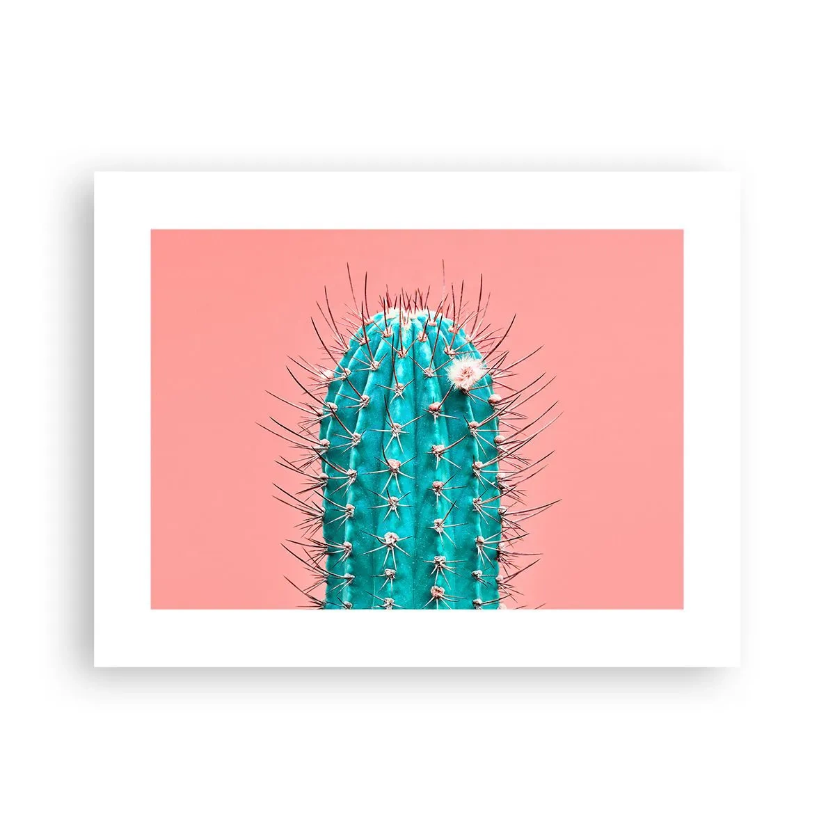 Plakat - Bare se - 40x30 cm