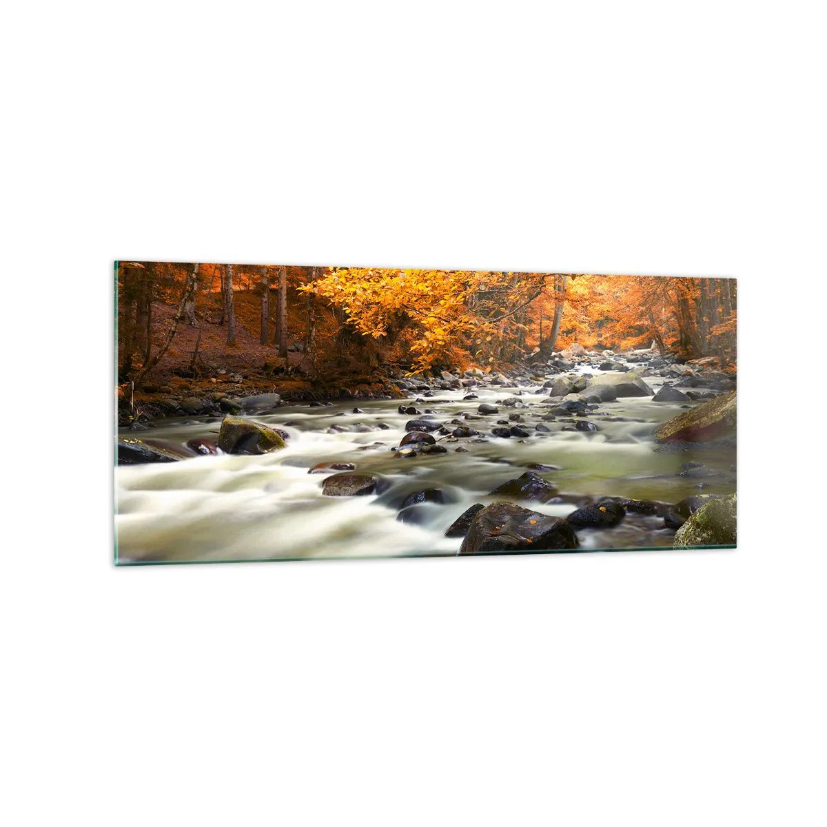 Billede på glas - Et vandløb i den gyldne skov - 120x50 cm