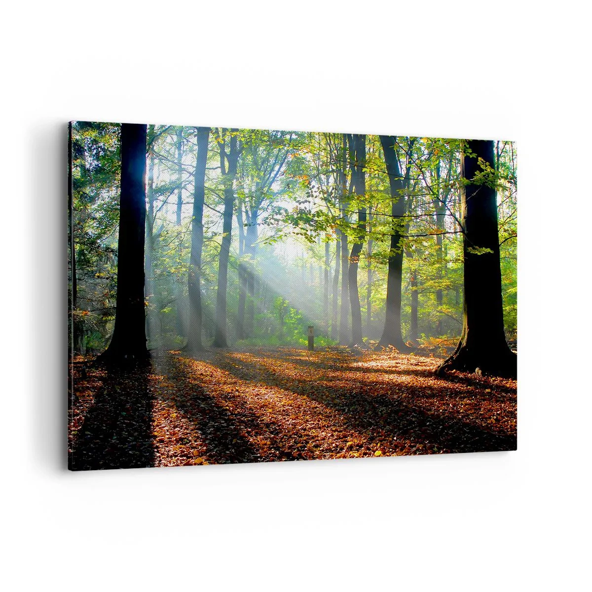 Lærredstryk - Billede på lærred - Lys og skygger - 100x70 cm