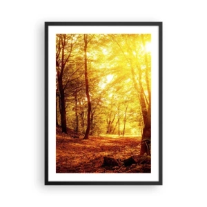 Plakat i sort ramme - Solnedgang oplyser en efterårsskov fuld af gyldne blade - 50x70cm - Til den gyldne lysning - Moderne vægdekoration til stue og soveværelse ARTTOR