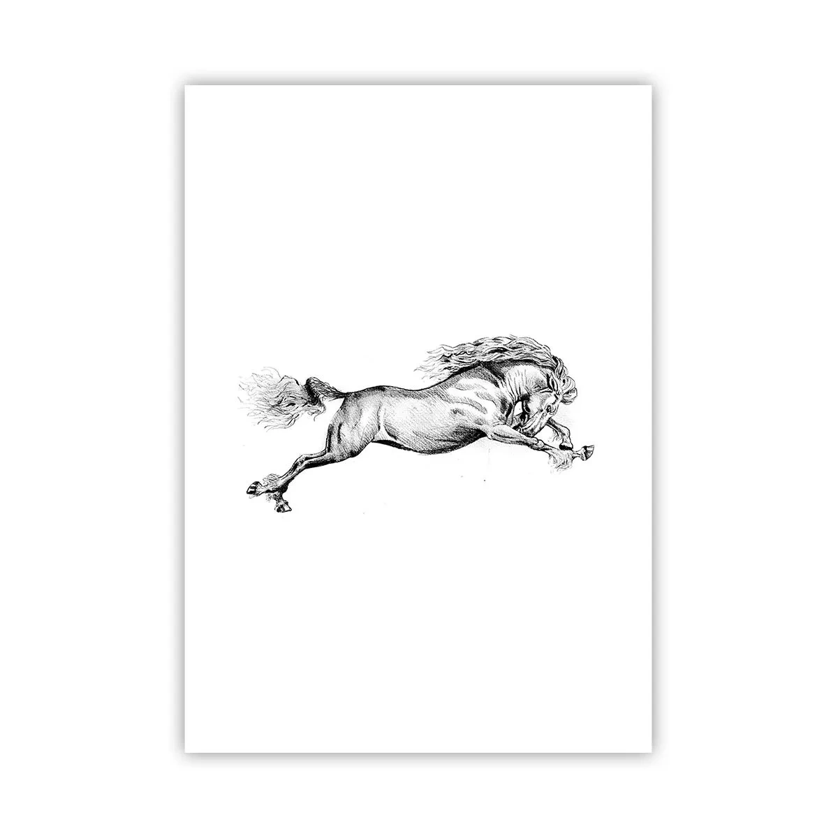 Plakat - Stoppet i galop - 70x100 cm