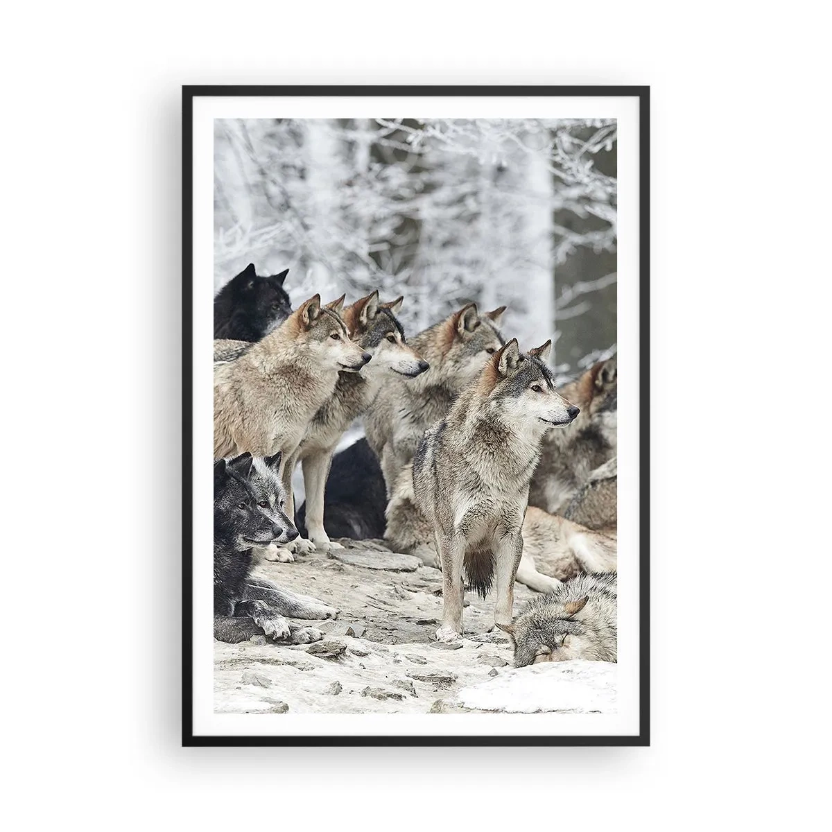 Plakat i sort ramme - Familie og venner - 70x100 cm