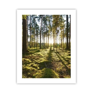 Plakat - ...Bag de syv skove - 40x50 cm