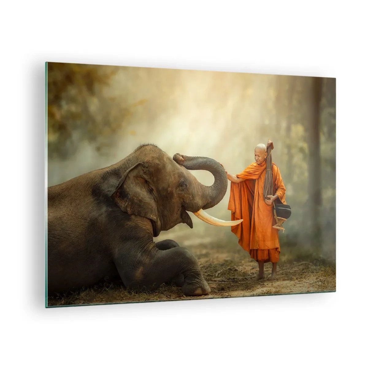 Billede på glas - En munk i orange klæder med en elefant i naturlige omgivelser - 70x50cm - Møde på ferien - Moderne vægdekoration til stue og soveværelse ARTTOR
