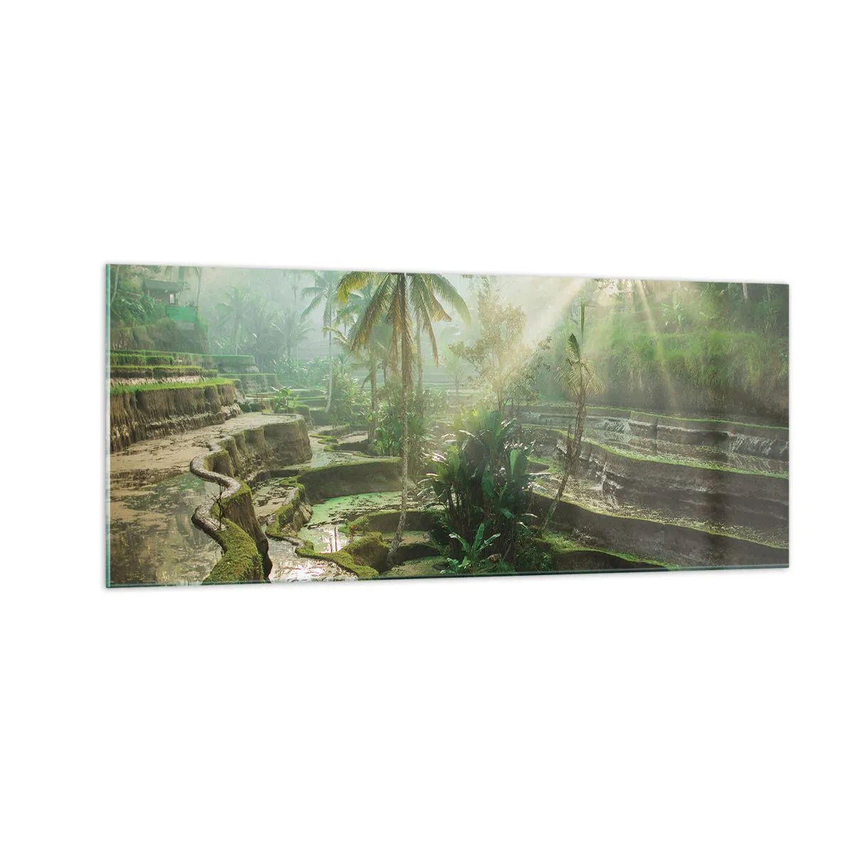 Billede på glas - Voksende op i solen - 100x40 cm