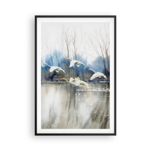 Plakat i sort ramme - Som i en fortælling om vilde svaner - 61x91 cm