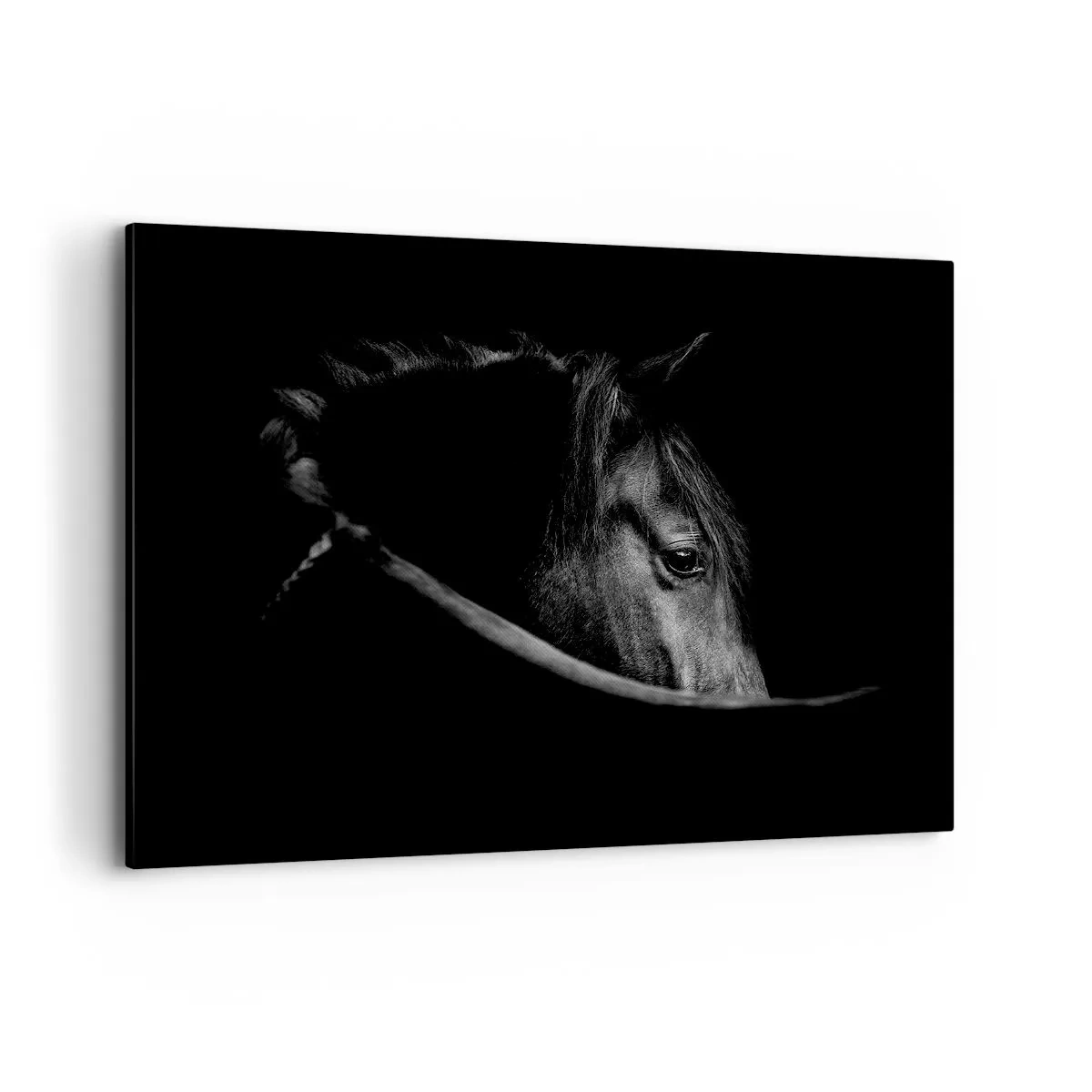 Lærredstryk - Billede på lærred - Sort prins - 100x70 cm