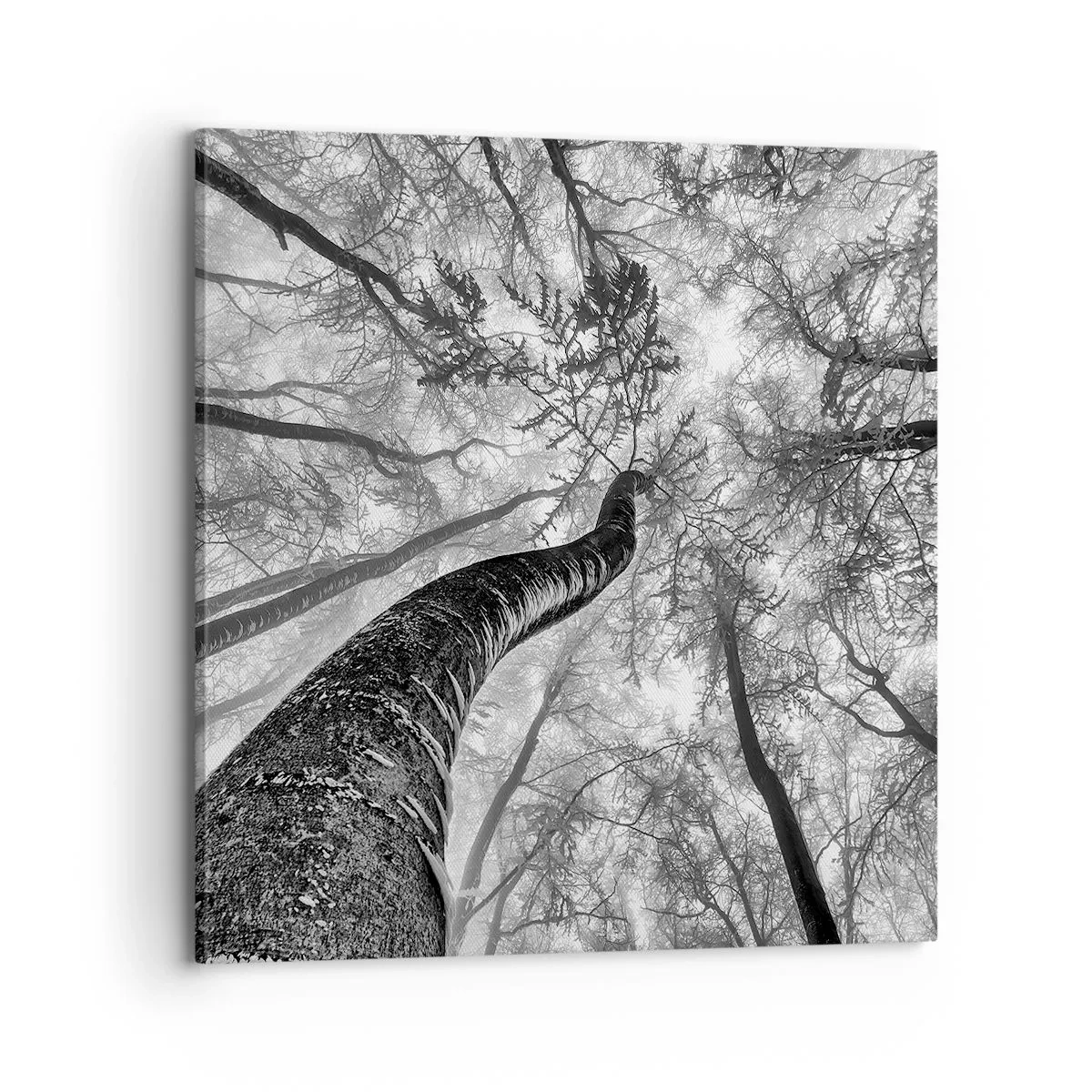 Lærredstryk - Billede på lærred - Kapløb mod lyset - 70x70 cm