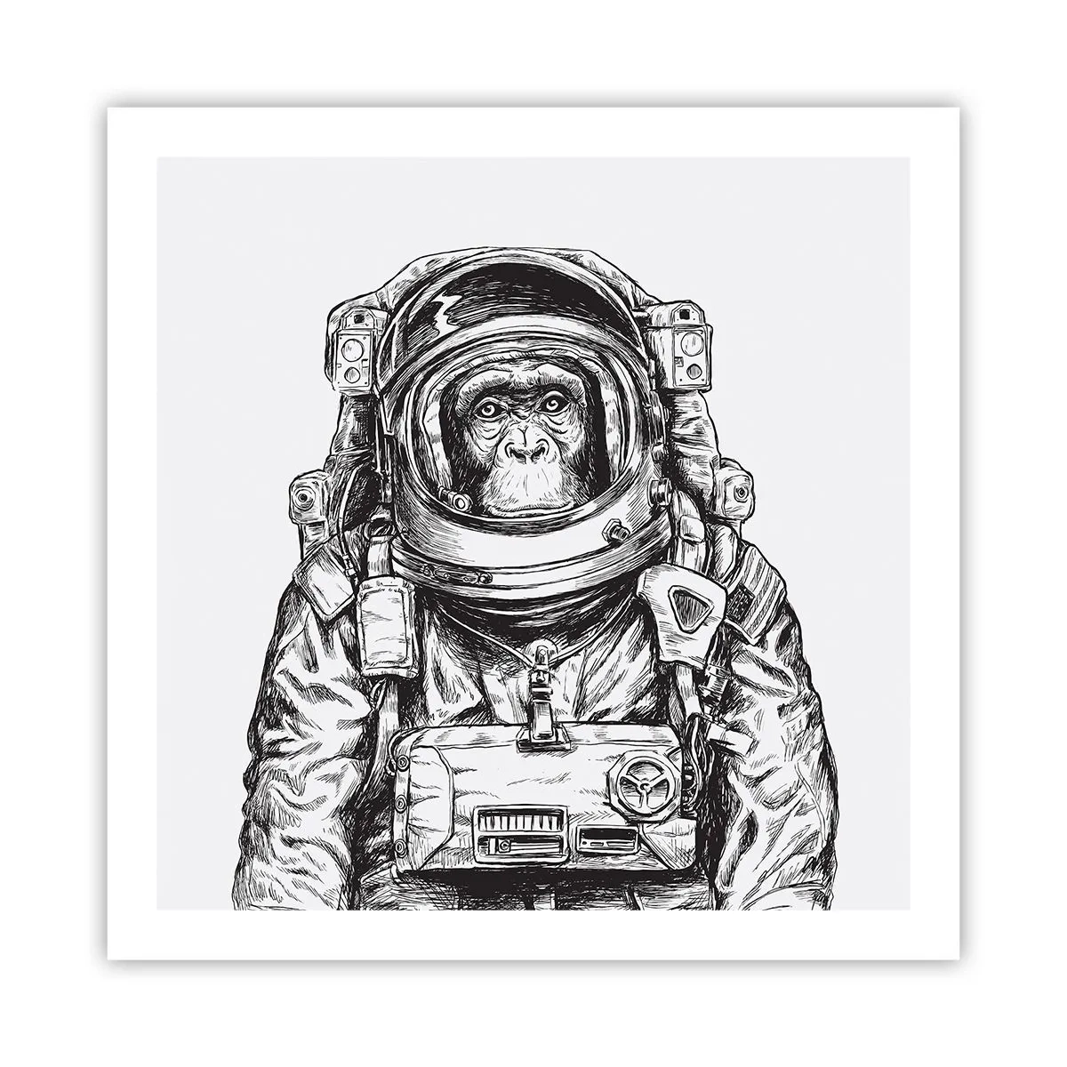 Plakat - Alternativ evolution - 60x60 cm