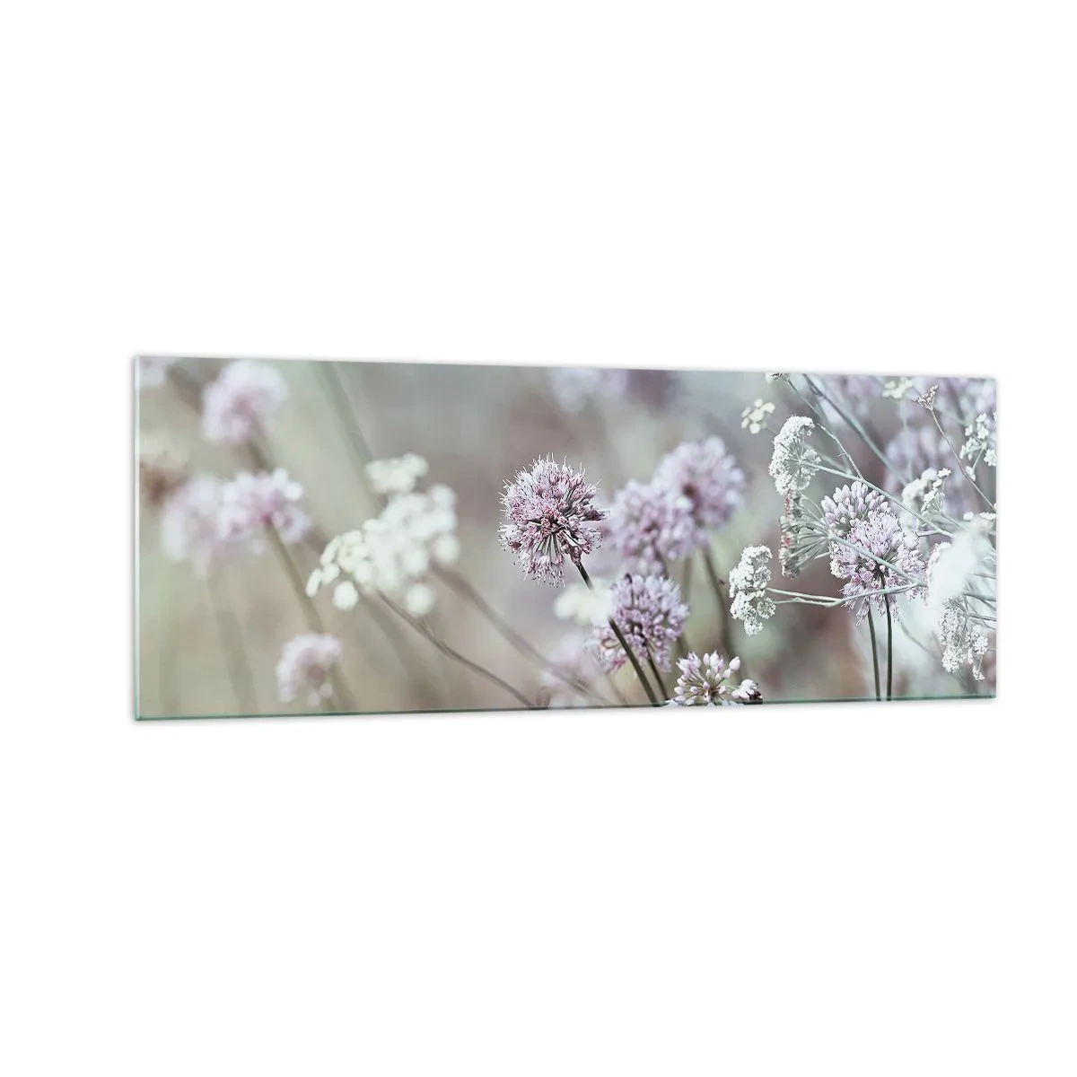 Billede på glas - Søde filigranurter - 140x50 cm