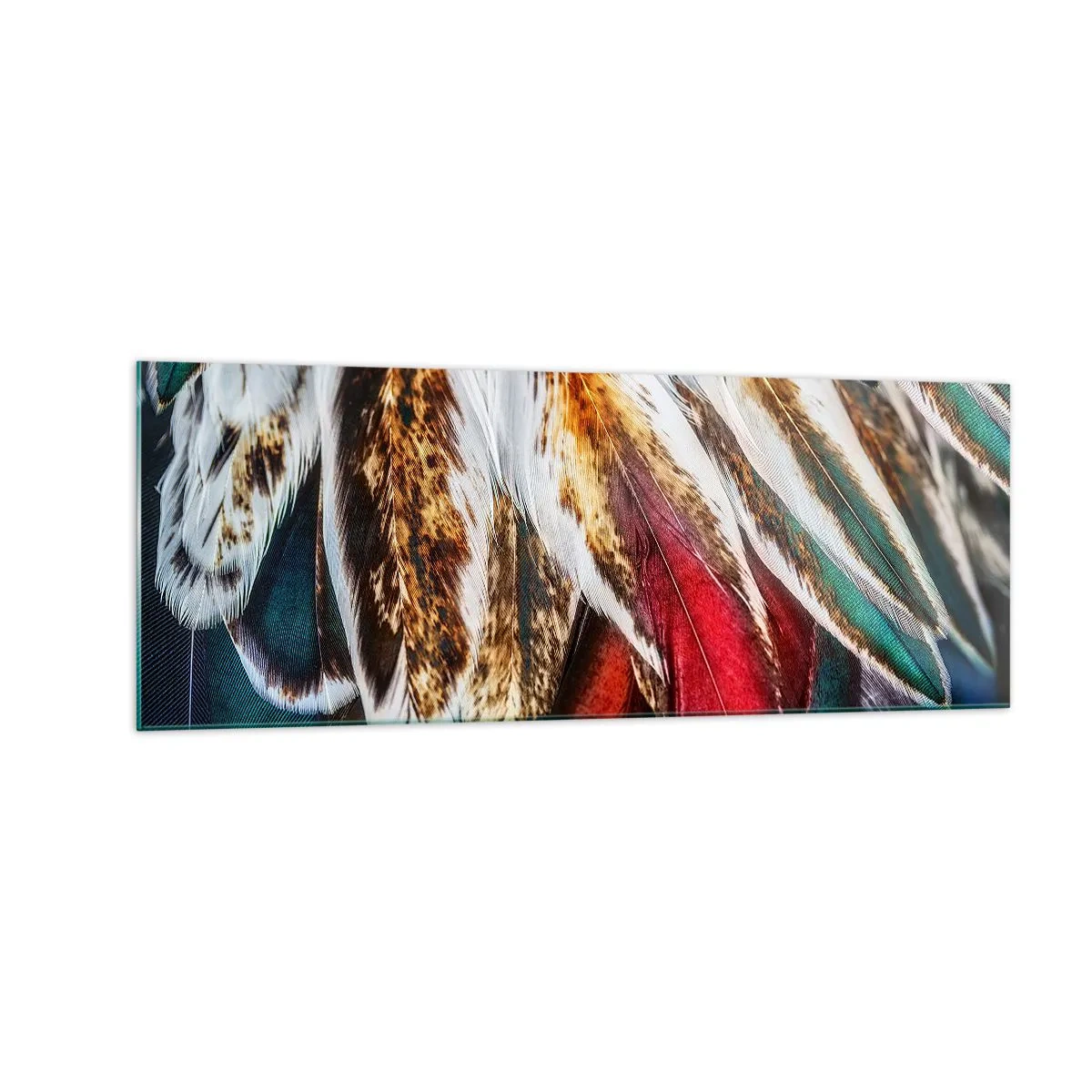 Billede på glas - Flyvningens hemmeligheder - 140x50 cm