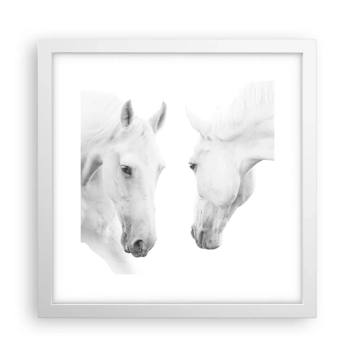 Plakat i hvid ramme - Er dette venskab...? - 30x30 cm