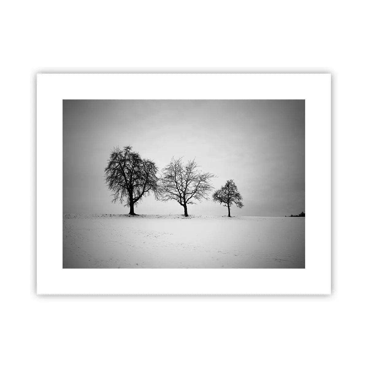 Plakat - Hvad drømmer de om? - 40x30 cm