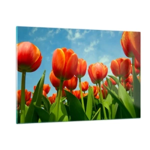 Billede på glas - Bortset fra den blå himmel behøver de intet i livet - 120x80 cm