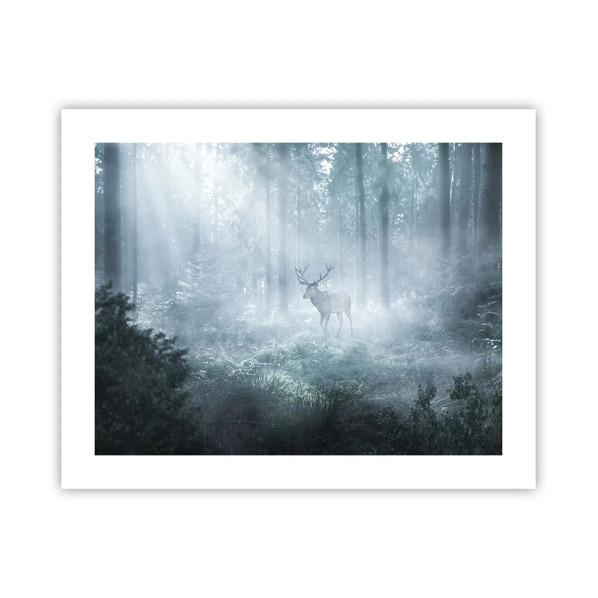 Plakat - Morgenvandring rundt på godset - 50x40 cm