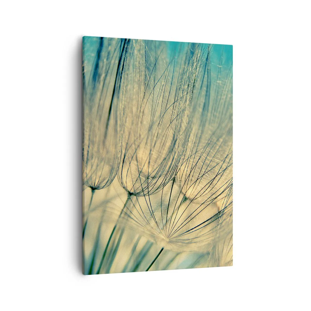 Lærredstryk - Billede på lærred - Venter på vinden - 50x70 cm