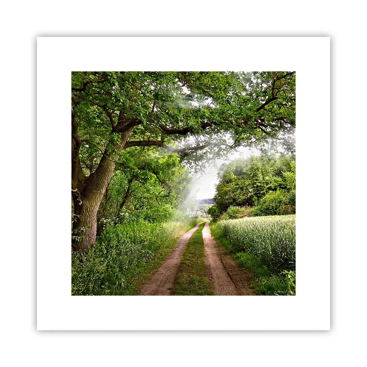 Plakat - Et in Arcadia ego - 30x30 cm