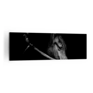 Lærredstryk - Billede på lærred - Sort prins - 160x50 cm