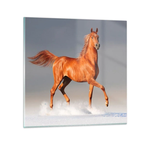 Billede på glas - Dansende ynde - 40x40 cm