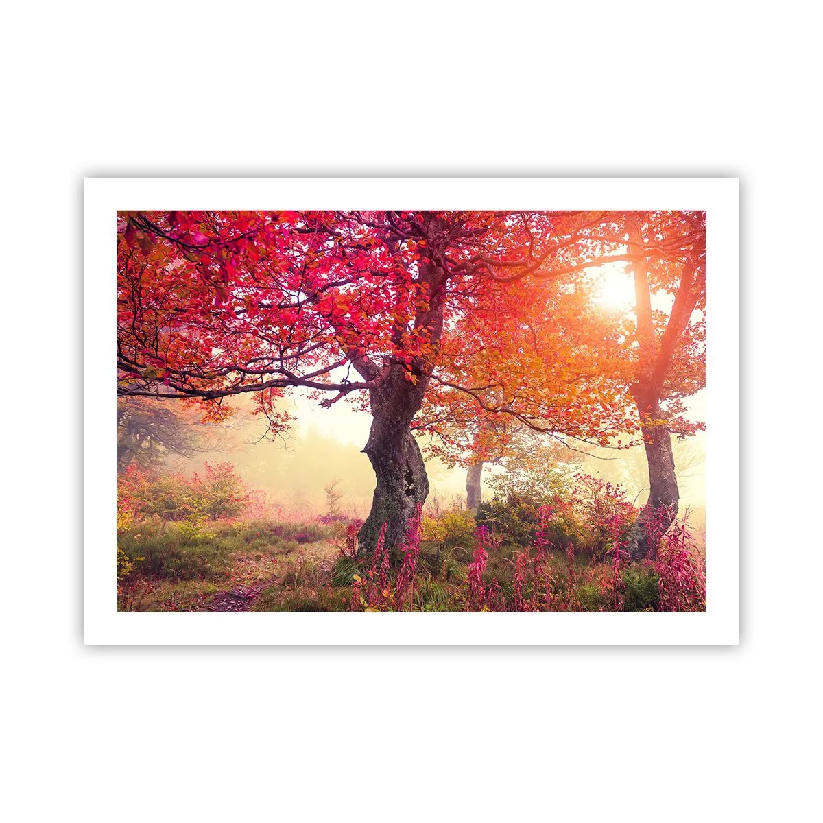 Plakat - Et væld af blomstring - 70x50 cm