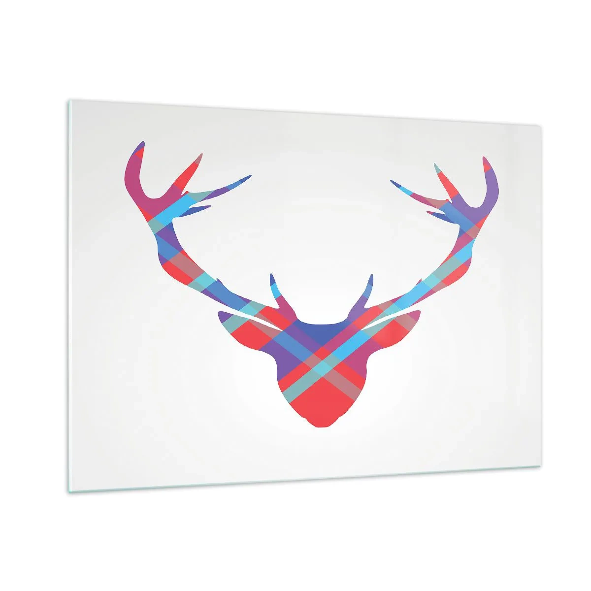 Billede på glas - Skotsk hjort - 100x70 cm