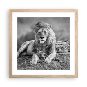 Plakat i ramme af lyst egetræ - Kongelig siesta - 40x40 cm