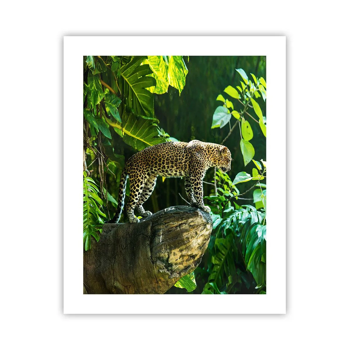 Plakat - Til jagt? - 40x50 cm