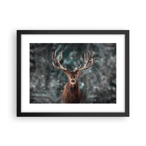 Plakat i sort ramme - Skovens konge kronet - 40x30 cm