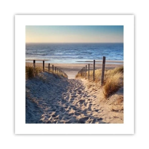 Plakat - Havet brummer, fuglene synger, en vild strand midt i græsset.... - 40x40 cm