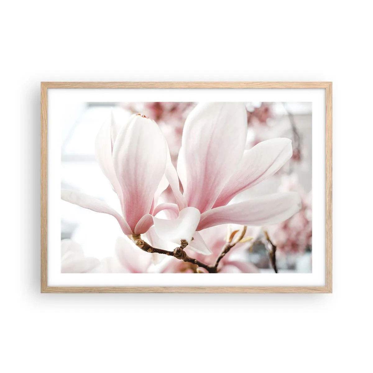 Plakat i ramme af lyst egetræ - Ømhedens umådelighed - 70x50 cm