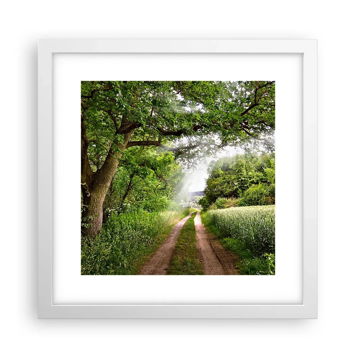 Plakat i hvid ramme - Et in Arcadia ego - 30x30 cm