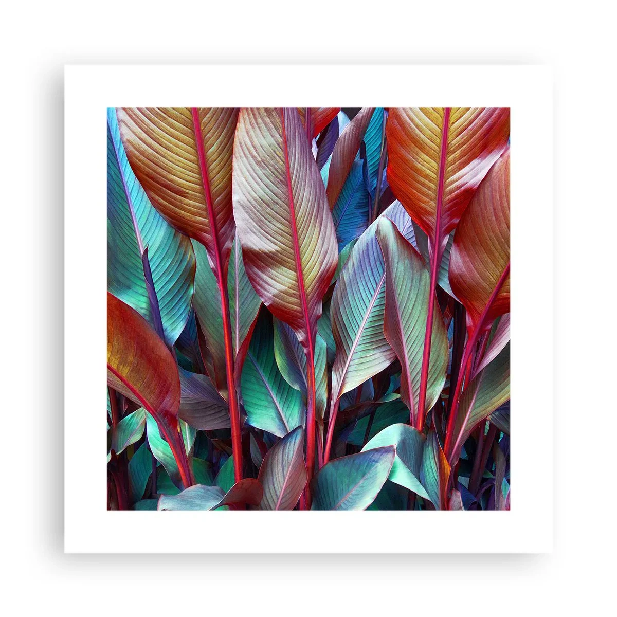 Plakat - Farverigt krat - 40x40 cm