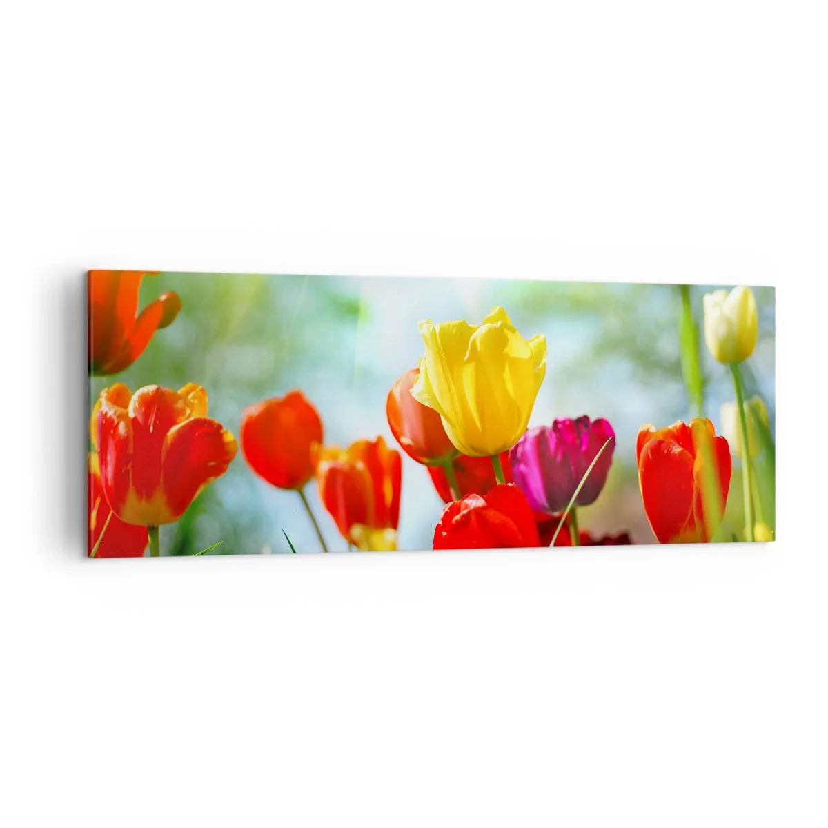 Lærredstryk - Billede på lærred - Alle solens farver - 140x50 cm
