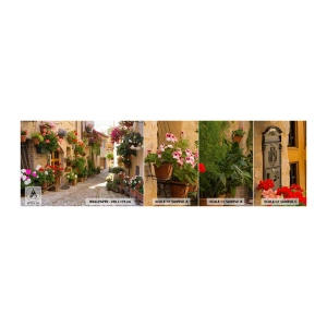 Fototapet Prøve Standard Eco - I en strøm af blomster - By, Italien, Smukke Gader - 100x30 cm