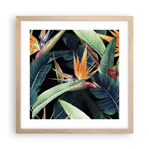 Plakat i ramme af lyst egetræ - Flammeblomster i troperne - 40x40 cm