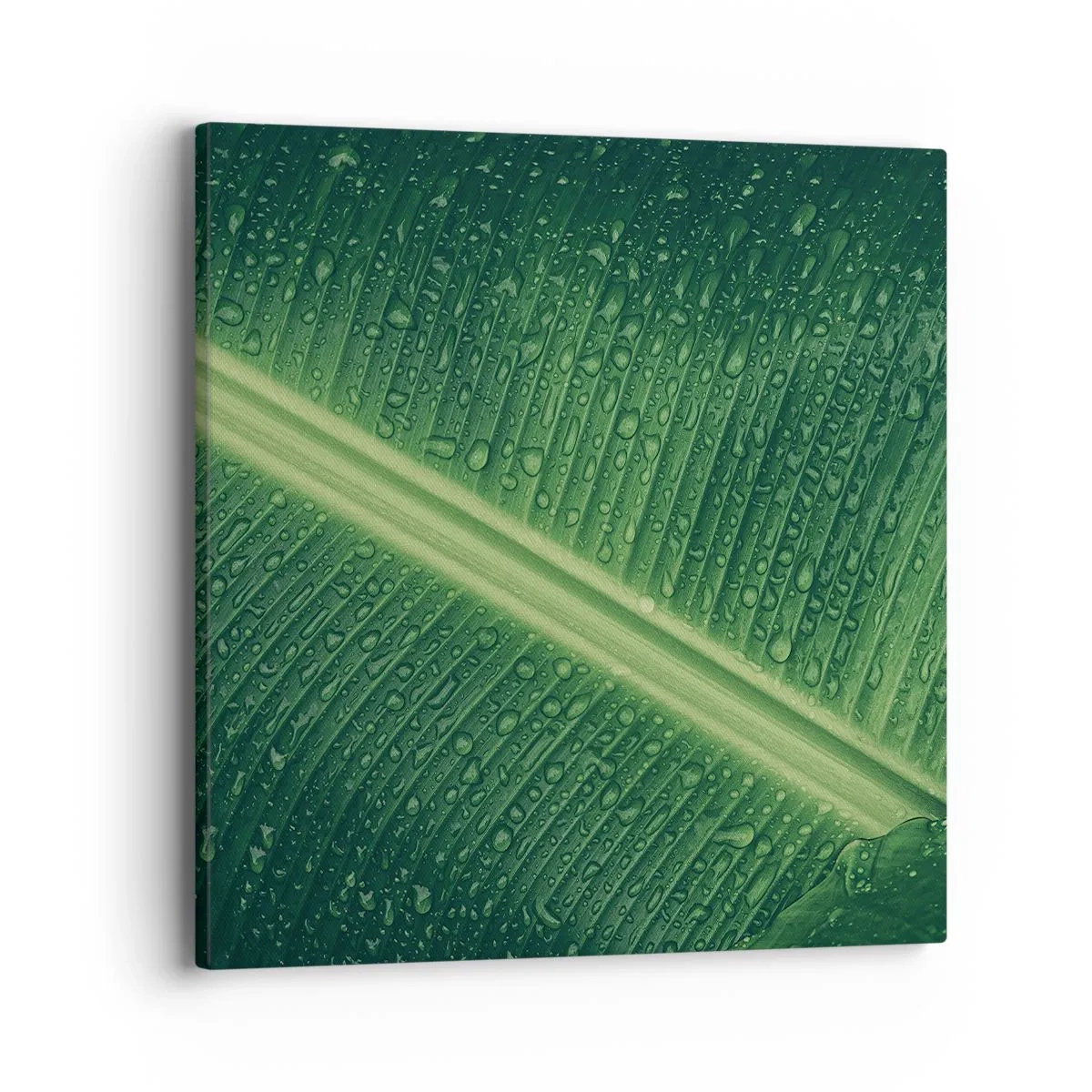 Lærredstryk - Billede på lærred - Grøn struktur - 40x40 cm