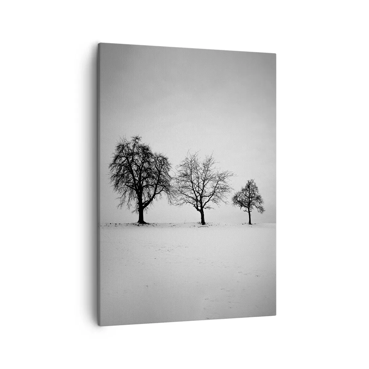 Lærredstryk - Billede på lærred - Hvad drømmer de om? - 50x70 cm