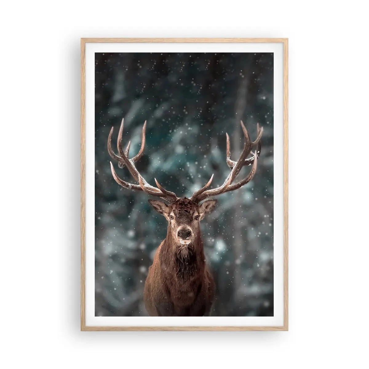 Plakat i ramme af lyst egetræ - Skovens konge kronet - 70x100 cm