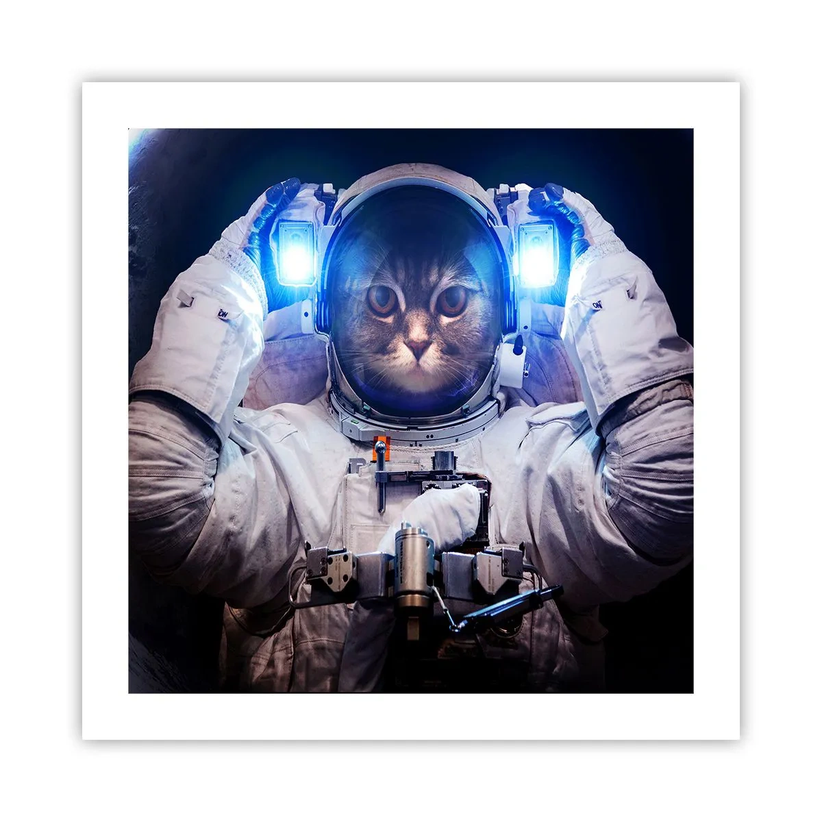 Plakat - Houston, I har et problem - 50x50 cm