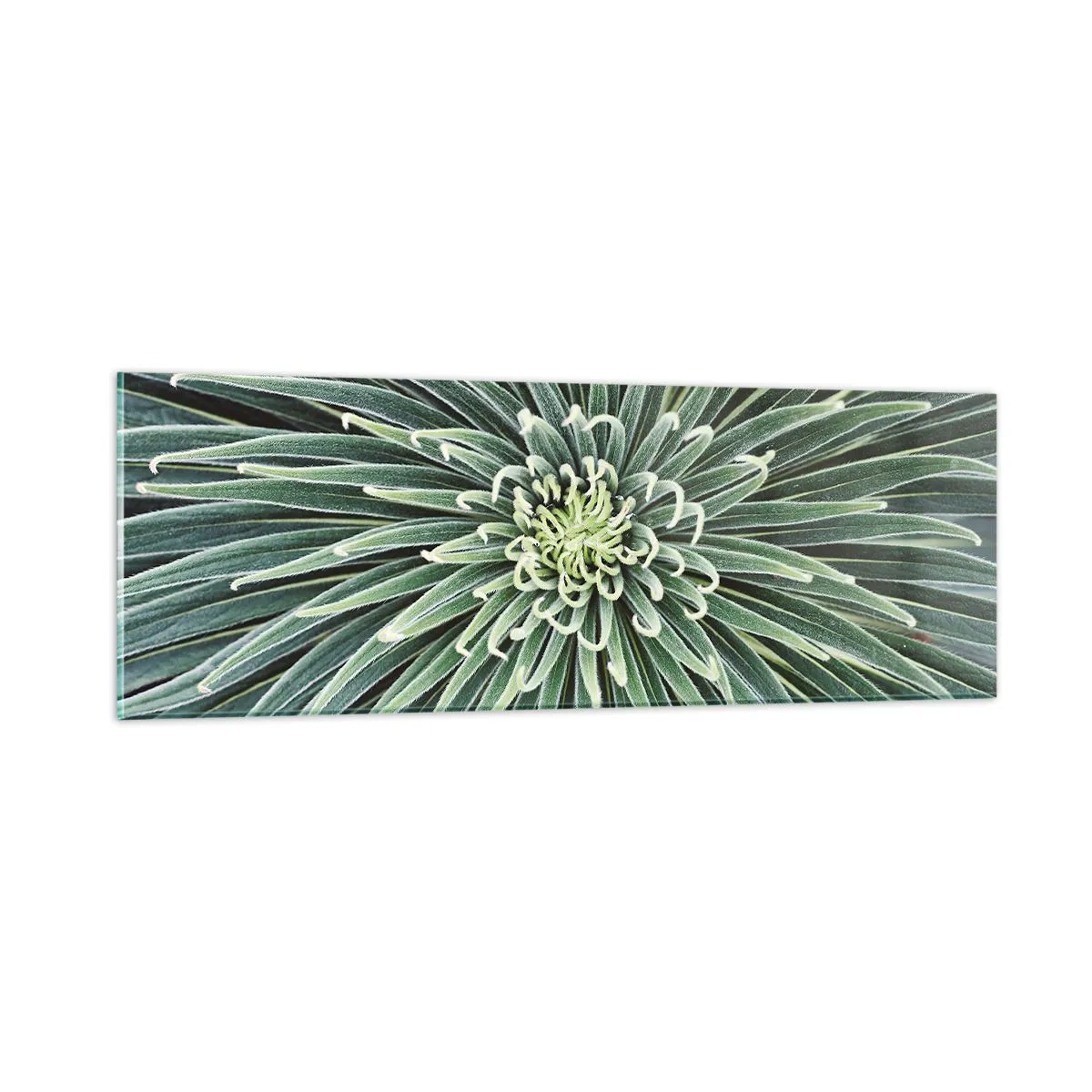 Billede på glas - En stjernes fødsel - 90x30 cm