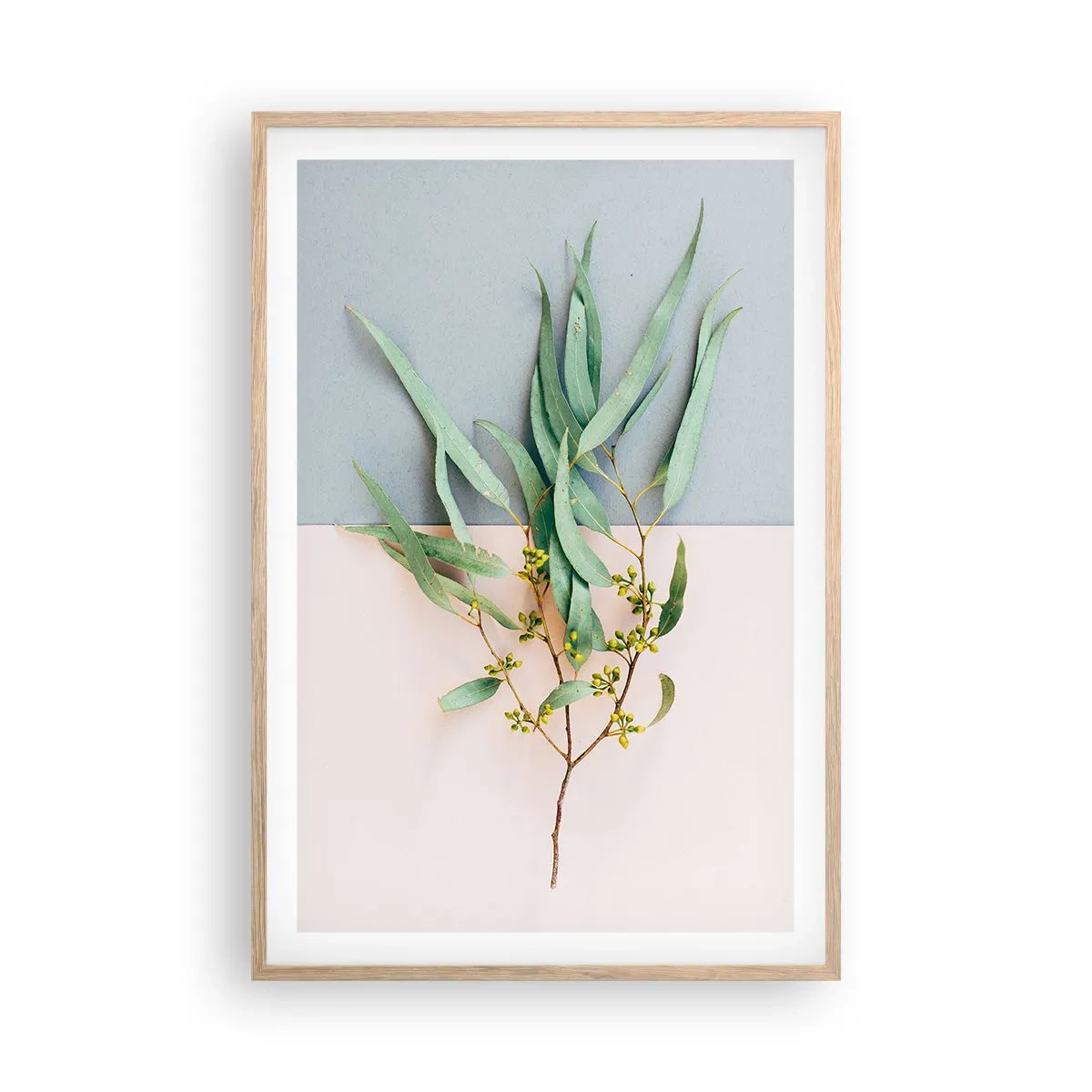 Plakat i ramme af lyst egetræ - Pastelfarvernes subtilitet - 61x91 cm