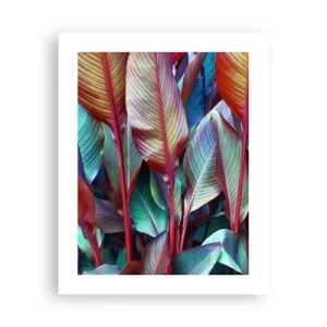 Plakat - Farverigt krat - 40x50 cm