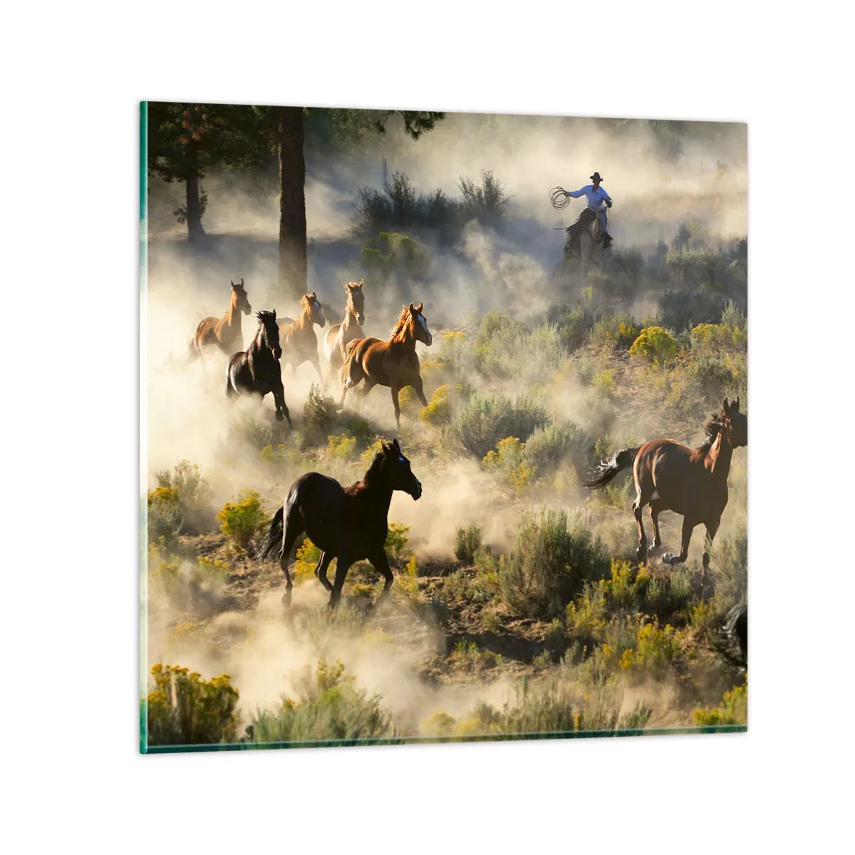 Billede på glas - Rivalisering - frihed eller maskulin kraft? - 70x70 cm