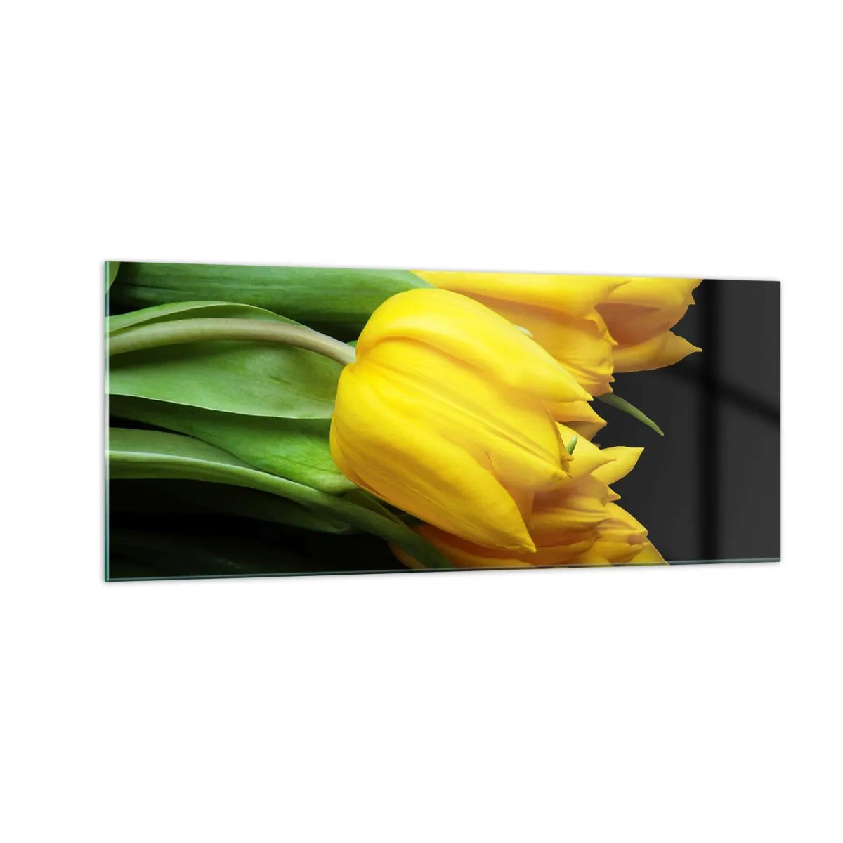 Billede på glas - Opstå fra den rene sol - 100x40 cm