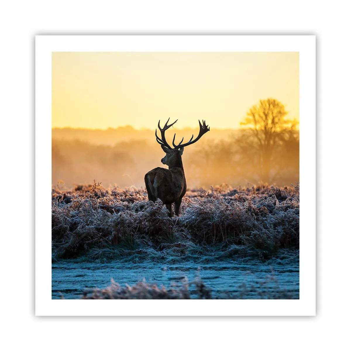 Plakat - Kronet på sine godser - 60x60 cm