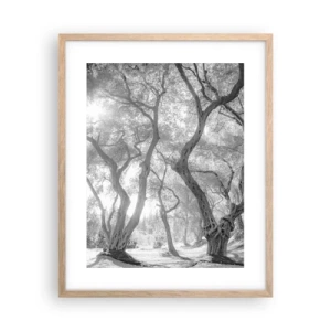 Plakat i ramme af lyst egetræ - I en olivenlund - 40x50 cm