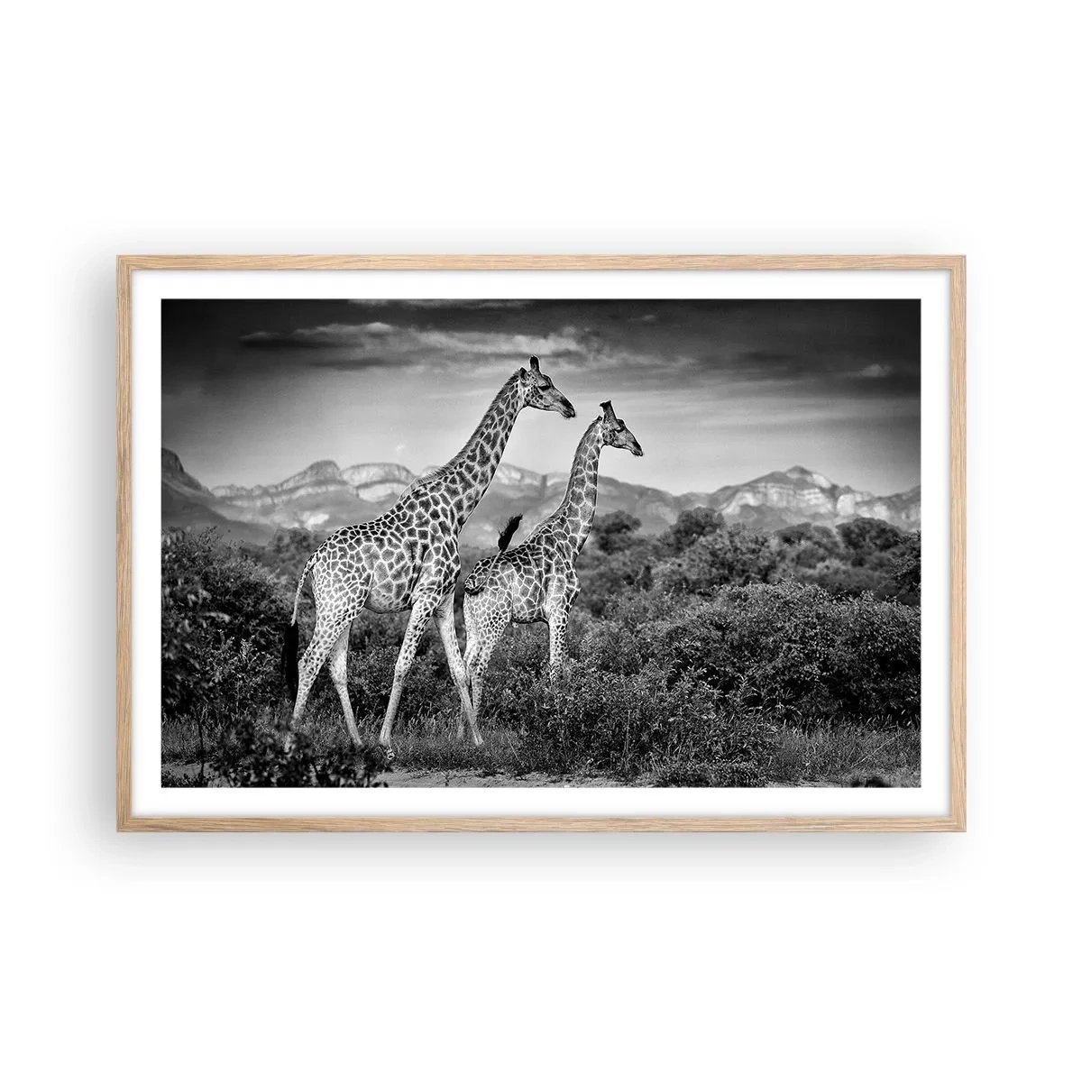 Plakat i ramme af lyst egetræ - Afrikas overklasse - 91x61 cm